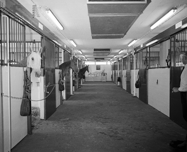 80442 Interieur van het nieuwe politiebureau Kaap Hoorndreef 1 te Utrecht: de paardenstallen.